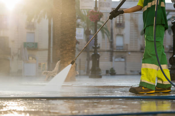 Best Roof Pressure Washing  in Heritage Pines, FL